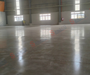 Project   : ĐẠI VIỆT