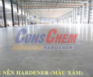 Xoa nền và mài bóng nền Hardener (màu xám)